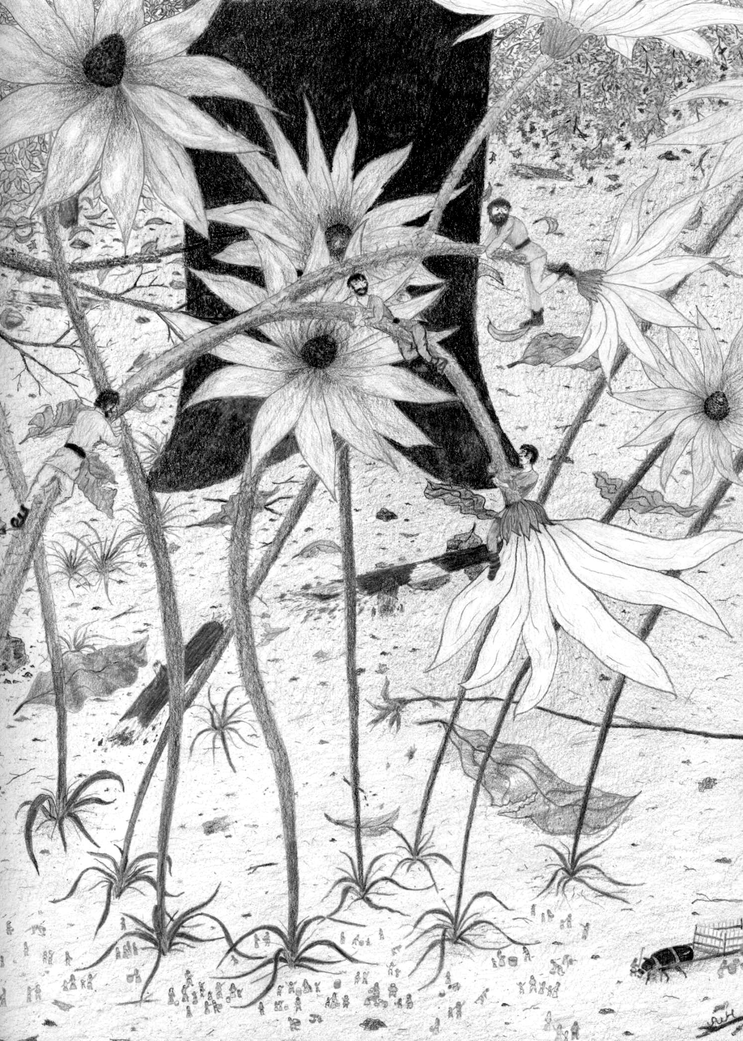 Where Did You Learn About All of the Plants You Mention in Your Stories?