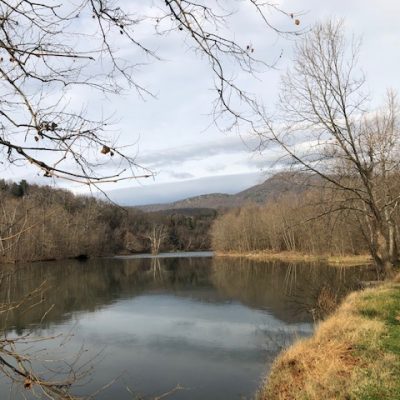 3 – Fruit from Vipers