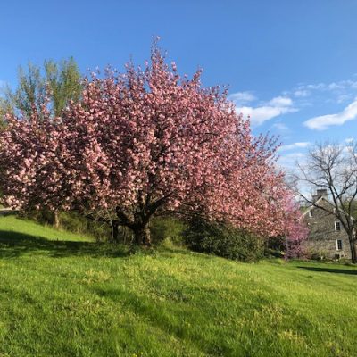 Ordinary Hands, Eternal Impact