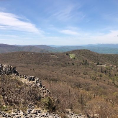 2 -The Wild Man of God