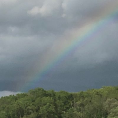 WHEN GOD’S WILL BECOMES OUR REFUGE