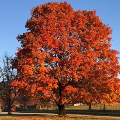 If Your Faith Hasn’t Changed You… Has It Really Saved You?