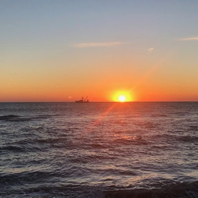 47 – So Much More than Fish