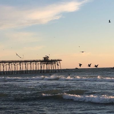 A Half Heart or a Whole Heart; It Makes a Huge Difference