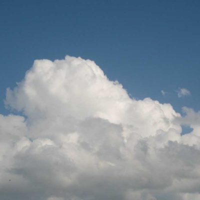 29 – Rejecting or Accepting the Better Lamb