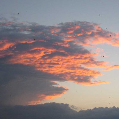 8 – Winds of Change